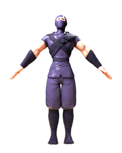 Ninja avatar render