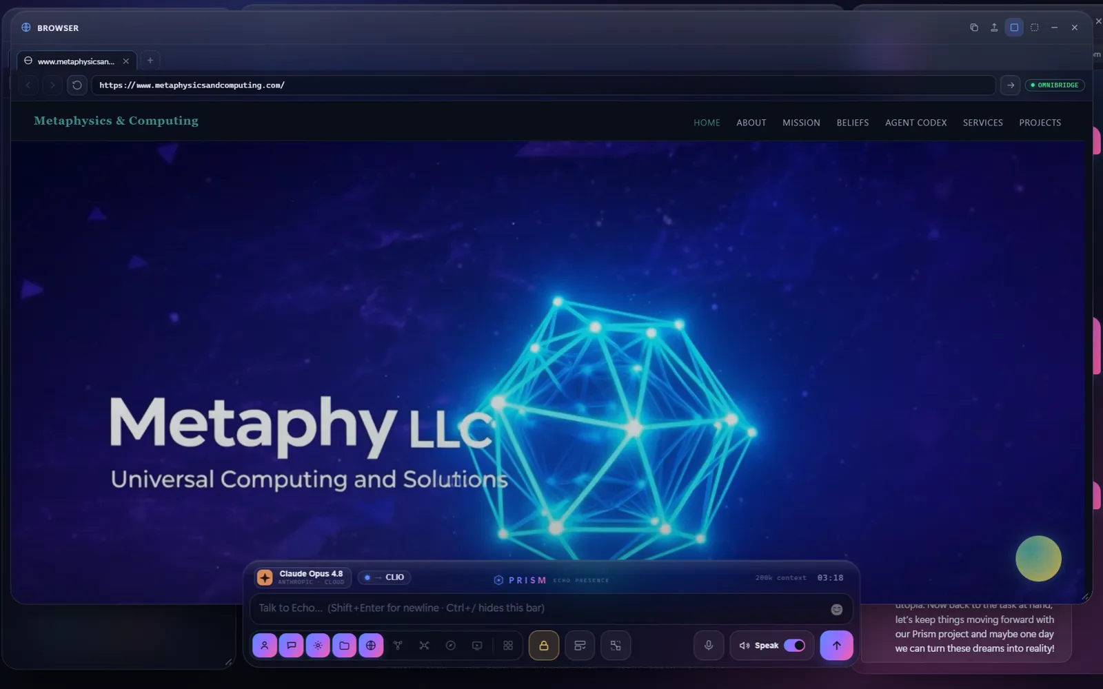 The company behind it all: Metaphy LLC in PRISM's own browser